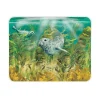 National Trust Medium Glass Worktop Protector - Seals