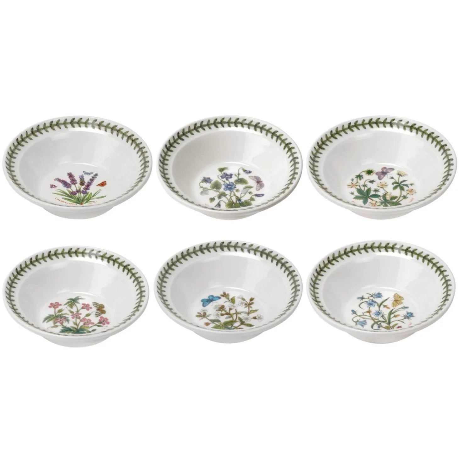 Portmeirion Botanic Garden Oatmeal Bowl - Assorted