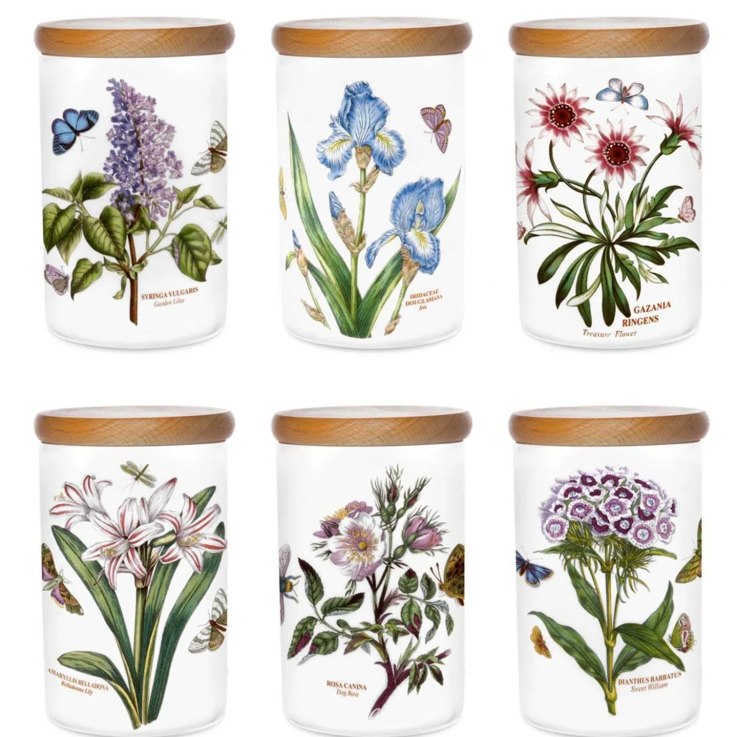 Portmeirion Botanic Garden 7" Airtight Storage Jar - Assorted