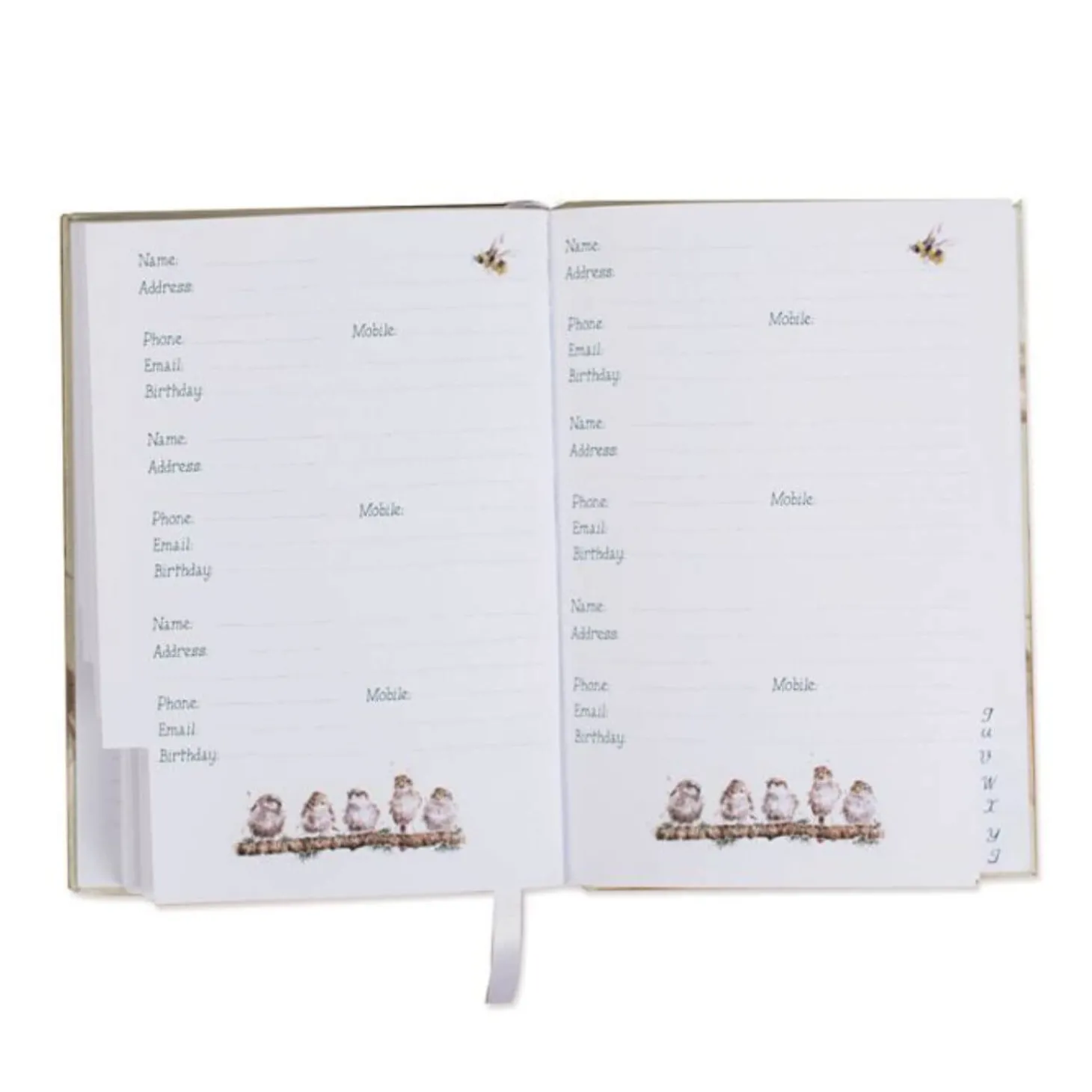 Wrendale Designs by Hannah Dale Address & Birthday Book - Piggy In The Middle