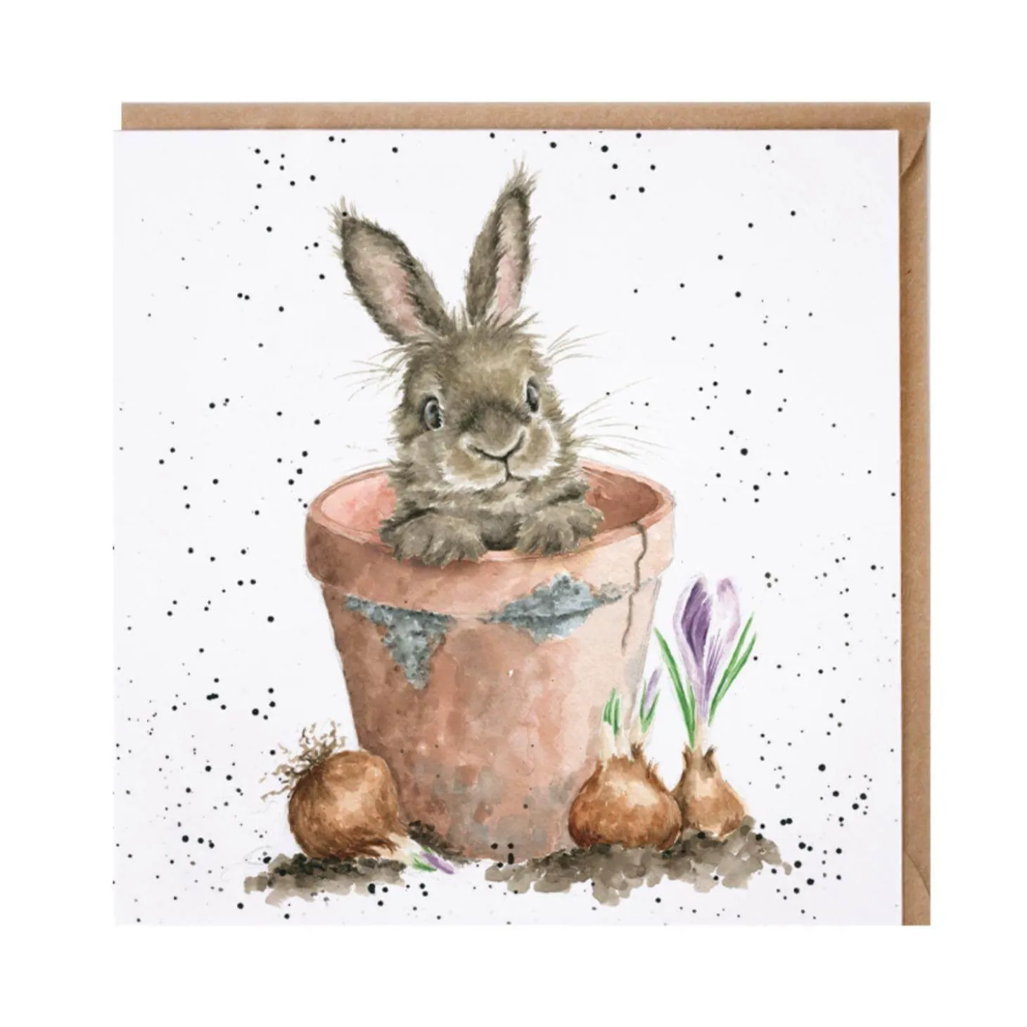 Wrendale Designs by Hannah Dale Card - The Flower Pot - Rabbit