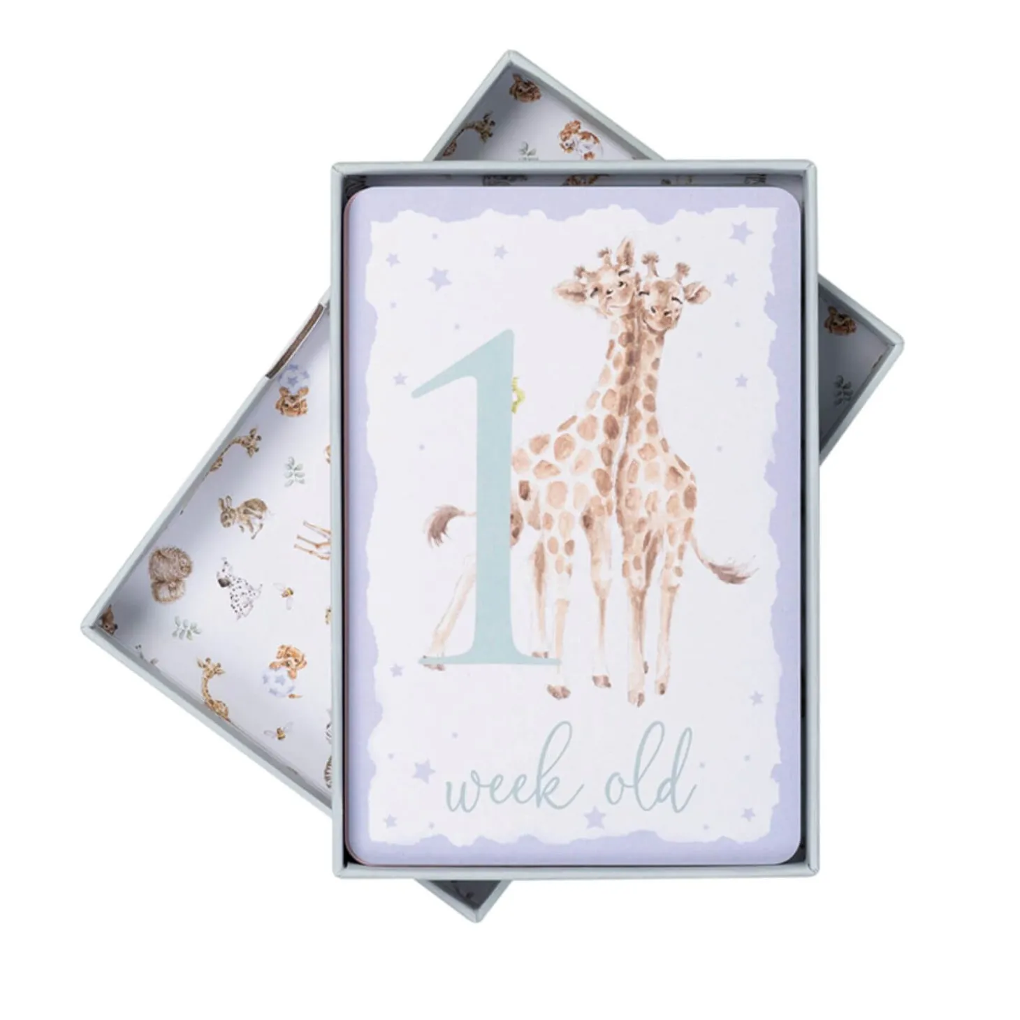 Wrendale Designs by Hannah Dale Little Wren Milestone Cards