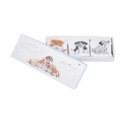 Wrendale Designs Little Wren Little Paws Dog Bamboo Baby Socks - 6-12 Months